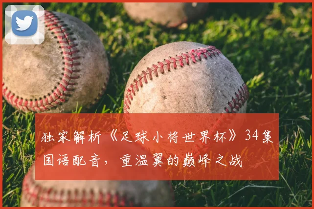 独家解析《足球小将世界杯》34集国语配音，重温翼的巅峰之战
