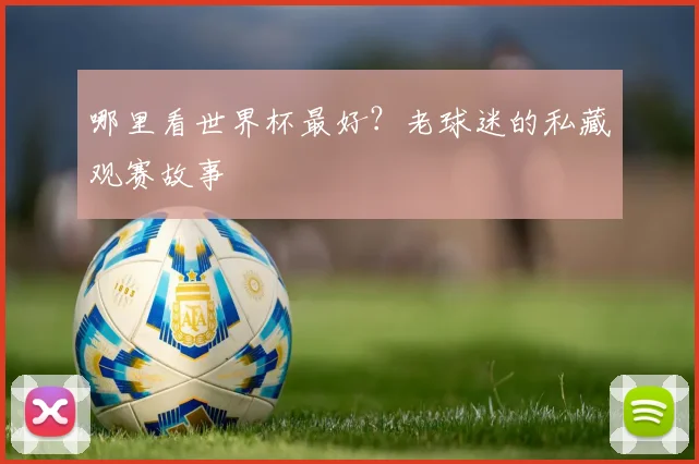 哪里看世界杯最好?老球迷的私藏观赛故事