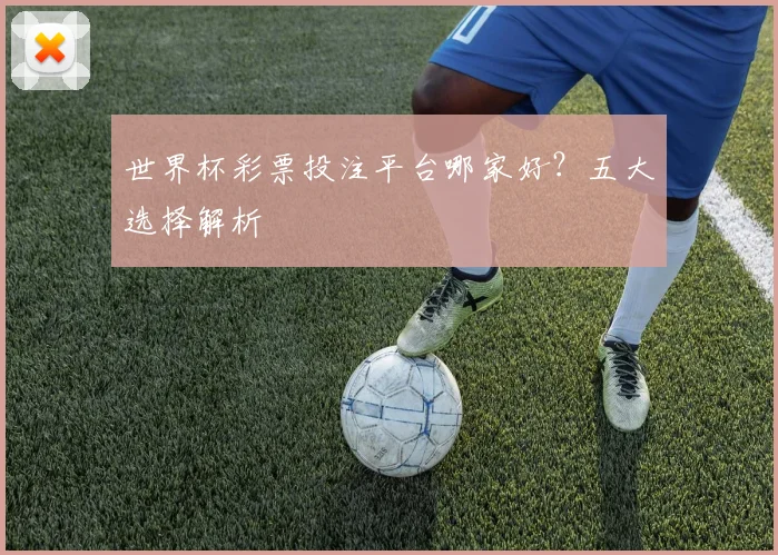 世界杯彩票投注平台哪家好？五大选择解析