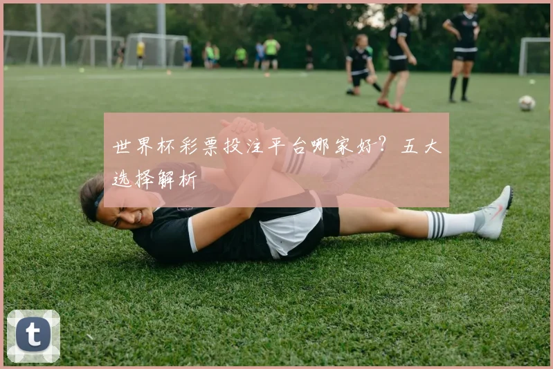 世界杯彩票投注平台哪家好?五大选择解析