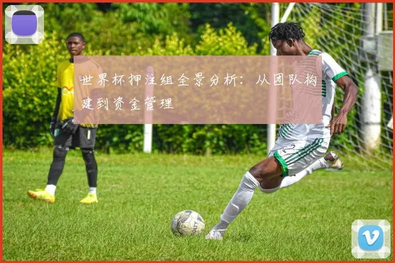 世界杯押注组全景分析：从团队构建到资金管理