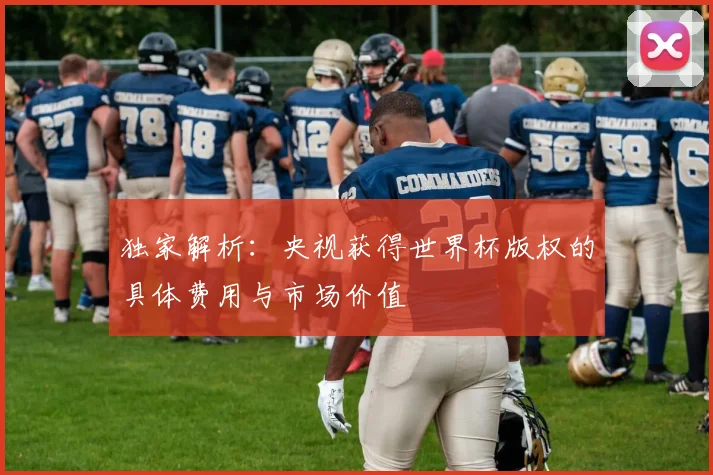 独家解析：央视获得世界杯版权的具体费用与市场价值